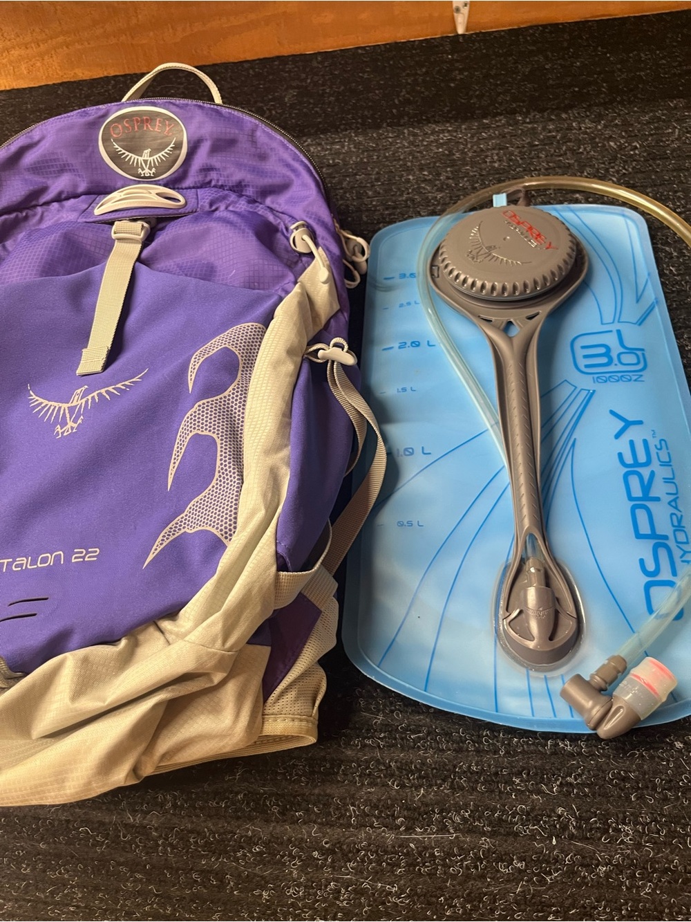 OSPREY Talon 22 Backpack in Purple with White Accents